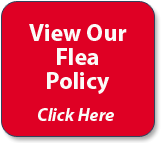 Flea Policy