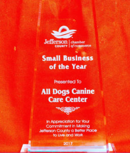 all dogs award